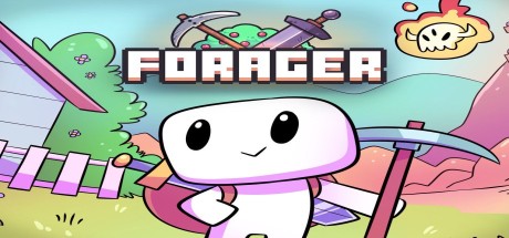 Forager ASIA PC Steam CD Key