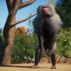 Planet Zoo - Zookeepers Animal Pack DLC EU PC Steam CD Key