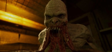 S.T.A.L.K.E.R. 2: Heart of Chornobyl LATAM PC Steam CD Key