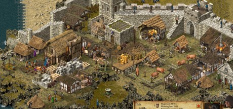 Stronghold: Definitive Edition - Swine's Bay Campaign DLC PC Steam CD Key