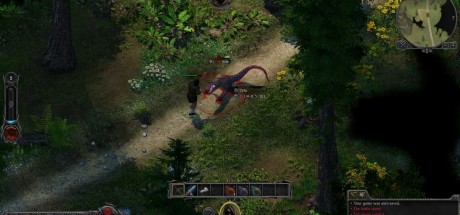 Swordhaven: Iron Conspiracy PC Steam CD Key