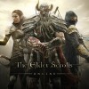 The Elder Scrolls Online - Morthal Jarl Finery Costume DLC PC Digital Download CD Key