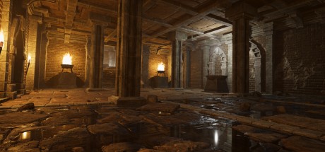 The Quinfall PC Steam CD Key