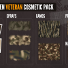 theHunter: Call of the Wild - Hirschfelden Veteran Cosmetic Pack DLC PC Steam CD Key 