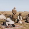 Arma 3 Creator DLC: Western Sahara PC Steam CD Key