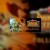 Dungeon Defenders Collection (Summer-Winter 2012) Steam CD Key