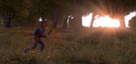 DayZ NA PC Steam CD Key DayZ NA PC Steam CD Key