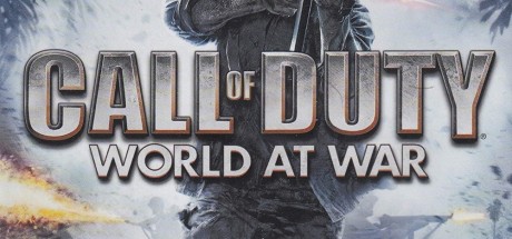 Call of Duty: World at War EU PC 10 Windows CD Key