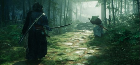 Rise of the Ronin RoW PC Steam CD Key