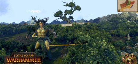 Total War: Warhammer - Realm of The Wood Elves DLC PC Steam CD Key