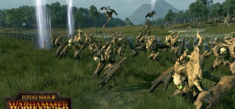Total War: Warhammer - Realm of The Wood Elves DLC RU/CIS PC Steam CD Key