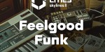 Cities: Skylines II - Feelgood Funk Radio DLC PC Steam CD Key