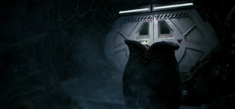 Aliens: Fireteam Elite NA PC Steam CD Key