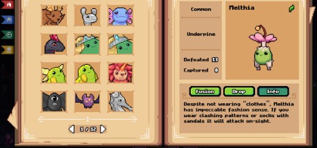 Portal Fantasy PC Steam CD Key