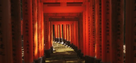 Lushfoil Photography Sim PC Steam CD Key