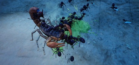 Empires of the Undergrowth - Exploding Ants DLC RoW PC Steam CD Key