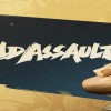 Wild Assault PC Steam CD Key