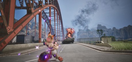 Wild Assault PC Steam CD Key