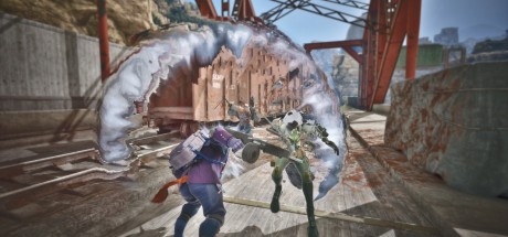 Wild Assault PC Steam CD Key