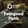 Cities: Skylines II - Feelgood Funk Radio DLC EU PC Steam CD Key