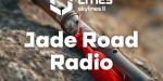 Cities: Skylines II - Jade Road Radio DLC EU PC Steam CD Key