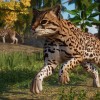 Planet Zoo - Americas Animal Pack DLC EU PC Steam CD Key Planet Zoo - Americas Animal Pack DLC EU PC Steam CD Key