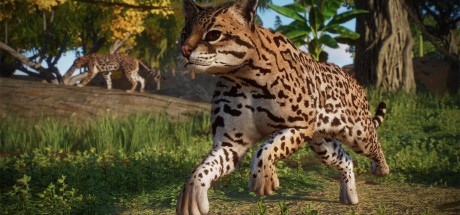 Planet Zoo - Americas Animal Pack DLC EU PC Steam CD Key Planet Zoo - Americas Animal Pack DLC EU PC Steam CD Key