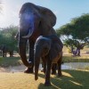 Planet Zoo Deluxe Edition LATAM PC Steam CD Key