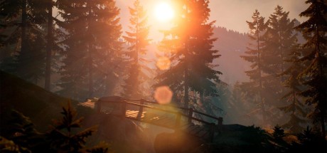 BIGFOOT PC Steam CD Key