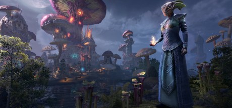 The Elder Scrolls Online: 2025 Premium Edition PC Steam CD Key