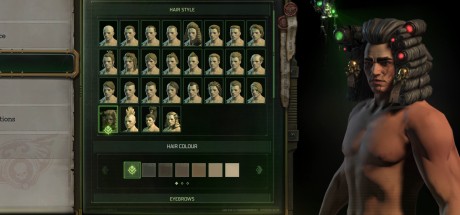 Warhammer 40,000: Rogue Trader - Season Pass 2 DLC PC Steam CD Key