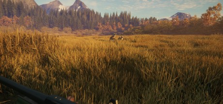 theHunter: Call of the Wild - Hunter Power Pack DLC AR XBOX One / Xbox Series X|S CD Key