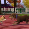 The Sims 3 - Pets Expansion Pack EU EA App CD Key The Sims 3 - Pets Expansion Pack EU EA App CD Key