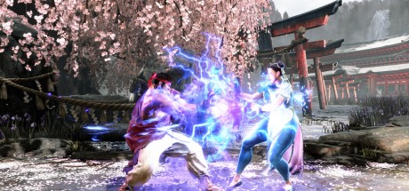 Street Fighter 6 Years 1-2 Fighters Edition RoW PC Steam CD Key