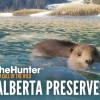 theHunter: Call of the Wild - Alberta Hunting Preserve DLC PC Steam CD Key theHunter: Call of the Wild - Alberta Hunting Preserve DLC PC Steam CD Key