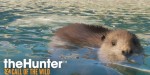 theHunter: Call of the Wild - Alberta Hunting Preserve DLC PC Steam CD Key