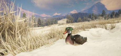 theHunter: Call of the Wild - Alberta Hunting Preserve DLC PC Steam CD Key theHunter: Call of the Wild - Alberta Hunting Preserve DLC PC Steam CD Key