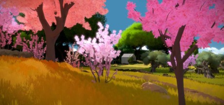 The Witness AR XBOX One / Xbox Series X|S CD Key