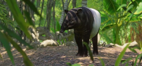 Planet Zoo - Southeast Asia Animal Pack DLC RoW PC Steam CD Key