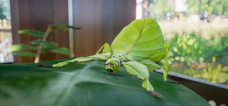 Planet Zoo - Southeast Asia Animal Pack DLC RoW PC Steam CD Key