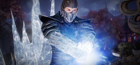 Mortal Kombat 1 Definitive Edition PC Steam CD Key