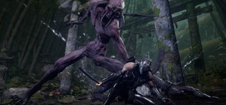 NINJA GAIDEN 4 Deluxe Edition US Xbox Series X|S / PC CD Key