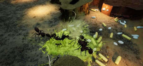 Empires of the Undergrowth - Exploding Ants DLC EU PC Steam CD Key