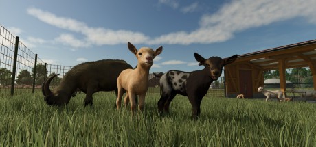 Farming Simulator 25: Highlands Fishing Edition EU PC Steam CD Key