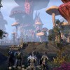 The Elder Scrolls Online: Tamriel Unlimited + Morrowind Upgrade DLC Digital Download CD Key