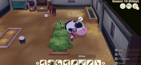 STORY OF SEASONS: Grand Bazaar PC Steam CD Key