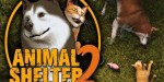 Animal Shelter 2 EU PC Steam CD Key
