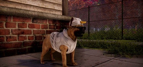 Animal Shelter 2 EU PC Steam CD Key