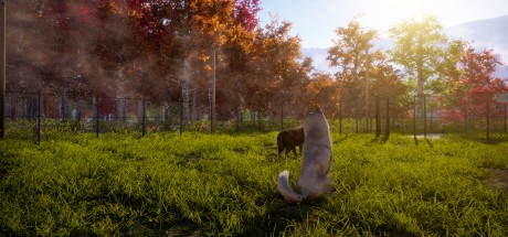 Animal Shelter 2 EU PC Steam CD Key
