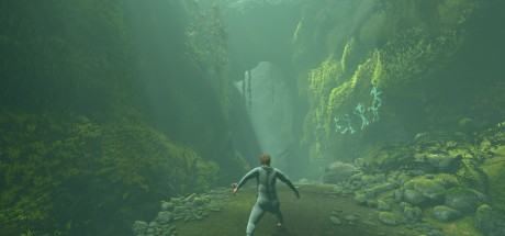 Baby Steps EU PC Steam CD Key